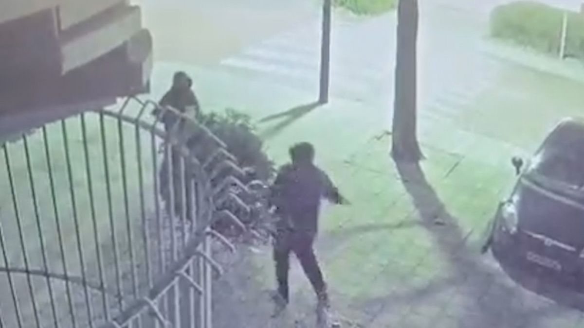 Dieven stelen drie meter hoge kerstboom bij oliebollenkraam: 'Het is heel lullig'