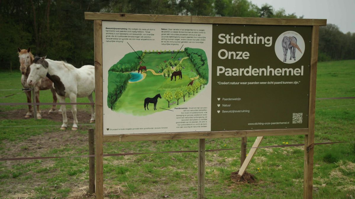 Een paardenhemel bestaat, in Heythuysen