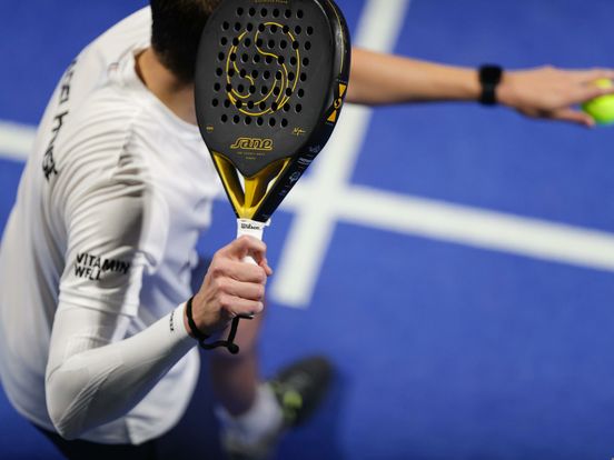 Illegale padelbanen in Hoogeveen, gemeente grijpt in