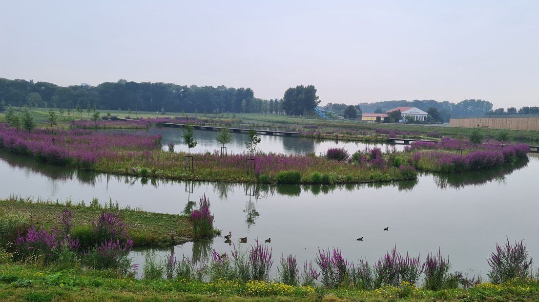 Het Molenvlietpark in de regen