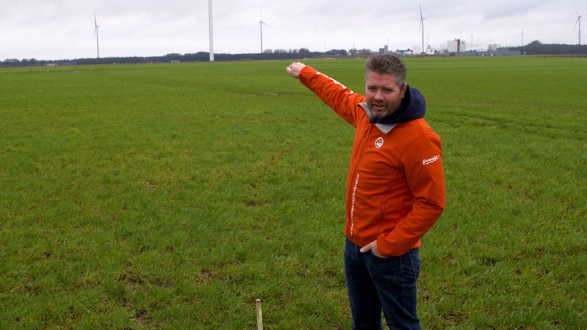 Festivals: 'We kunnen er weer een mooi feest van maken'