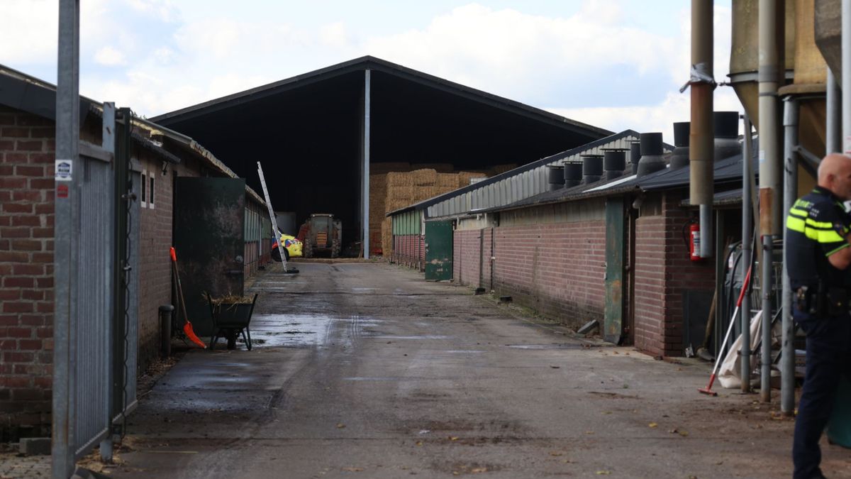 Man zwaargewond na val door dak in Leunen