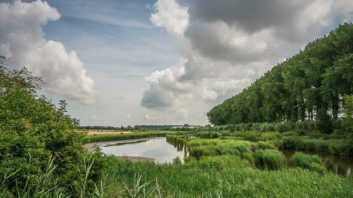 Geen afscheidsceremonie meer in de natuur: Natuurmonumenten scherpt de regels aan