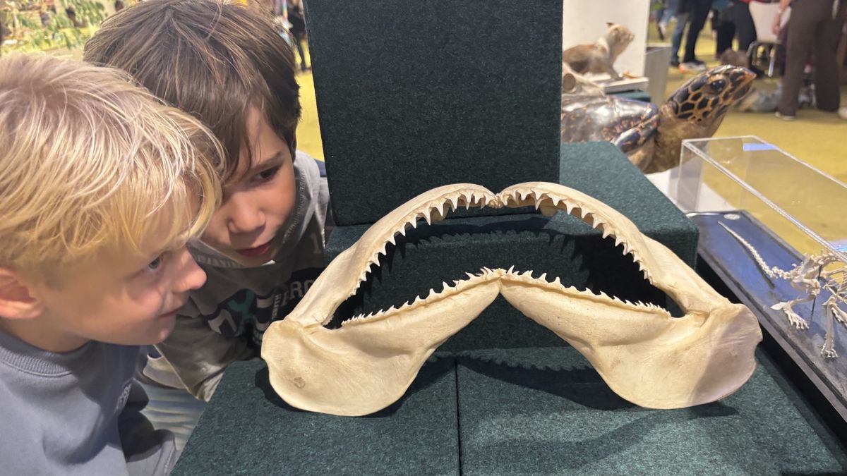 Eerste Museumnacht Kids in Maastricht is ook kijken, maar vooral veel doen
