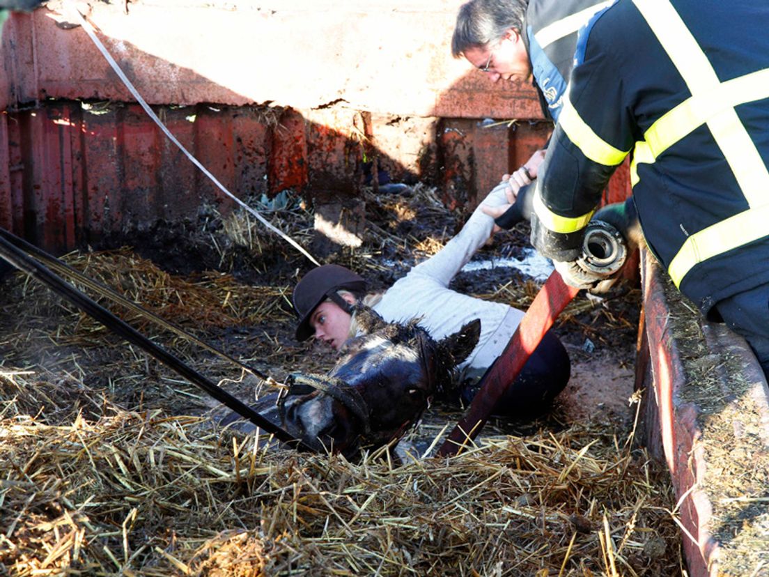 Dordts meisje redt paard uit mestbak (Thymen Stolk)