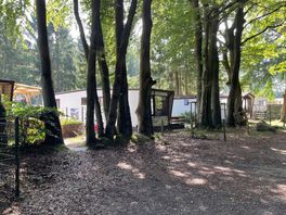 Voormalige camping Panda Rosa opnieuw in de verkoop: 'Meer een pakkie an voor een projectontwikkelaar'