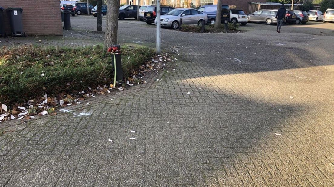 De plek van de aanrijding bij daglicht.