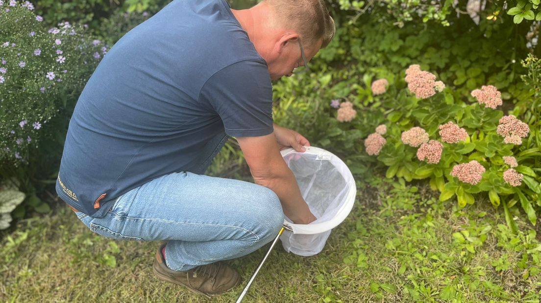 In de voortuin zijn ook genoeg diertjes te vinden