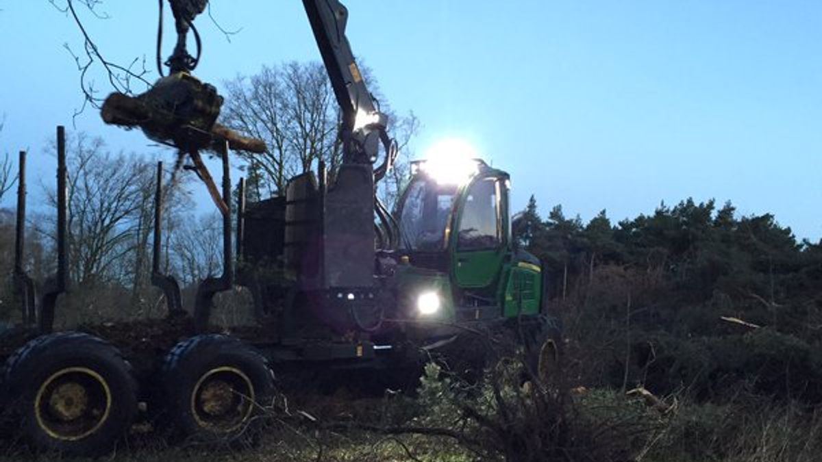 Maasduinen rond Lomm snel weer zichtbaar