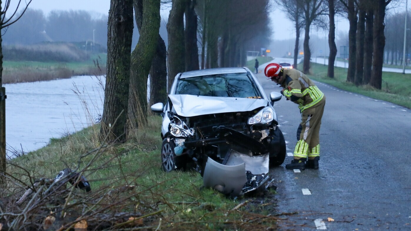 Auto rijdt tegen omgewaaide boom in Leeuwarden