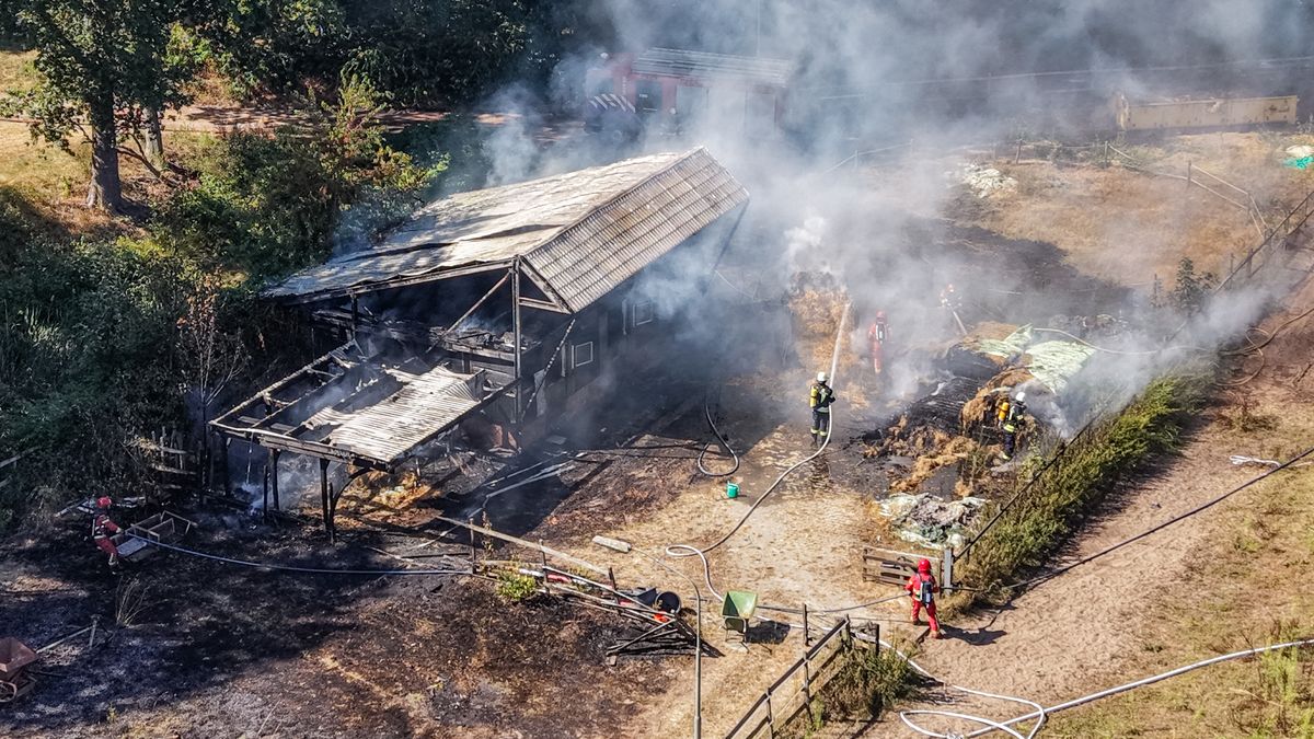 Brand meester bij paardenschuur in Ter Apel