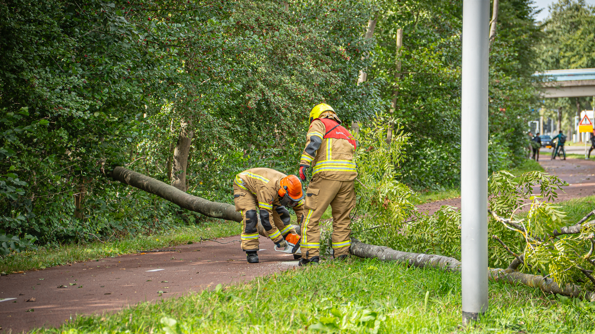 De tak belandde op het fietspad, busbaan en één van de rijstroken.