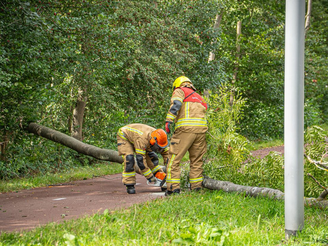 De tak belandde op het fietspad, busbaan en één van de rijstroken.