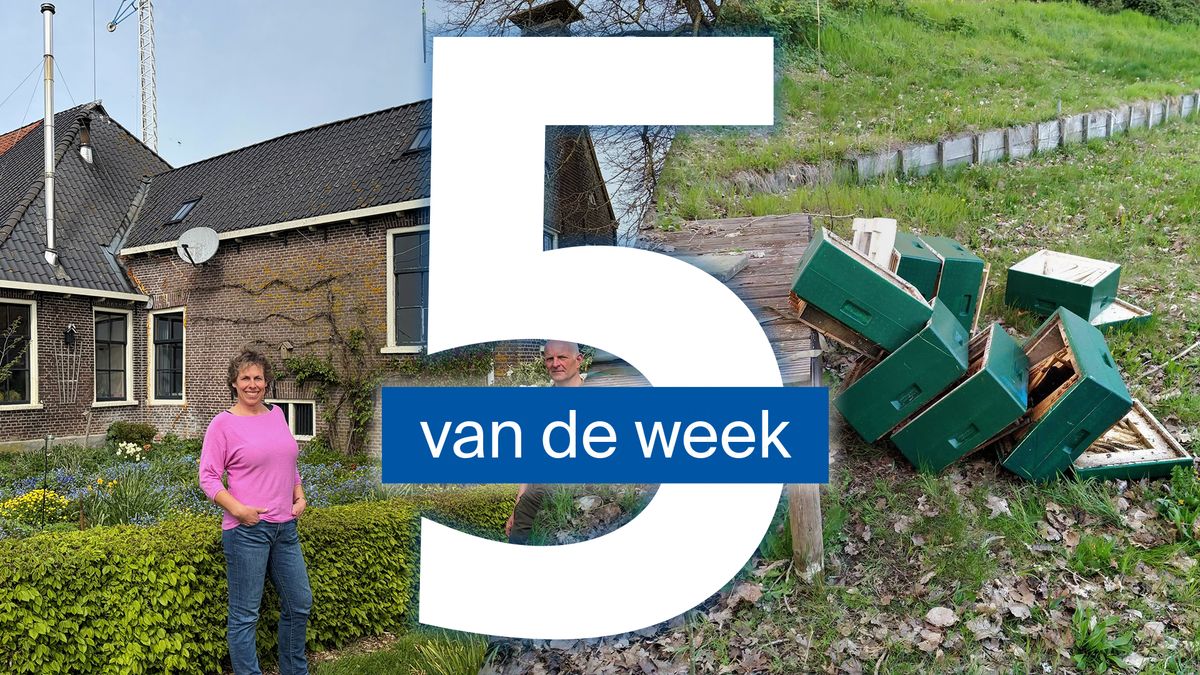 Familie Dekker kan eindelijk bouwen en vernielers bijenkasten Joure melden zich