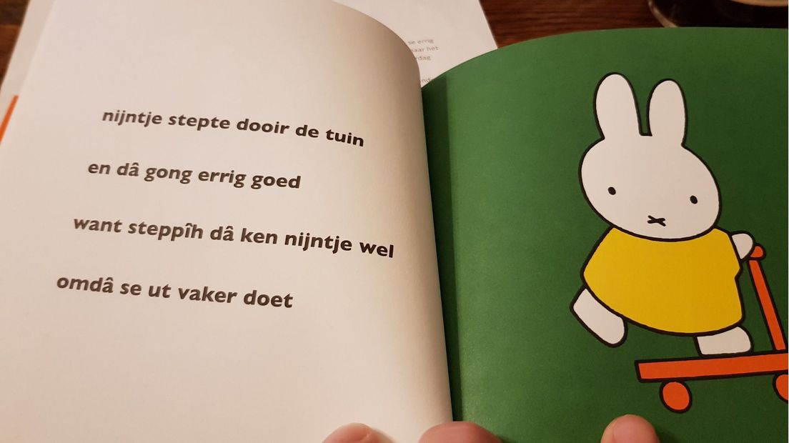 De Leidse versie van Nijntje