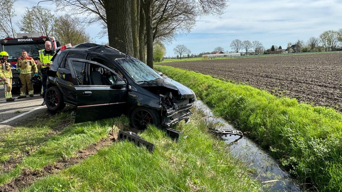 Automobilist overlijdt bij botsing tegen boom in Roggel
