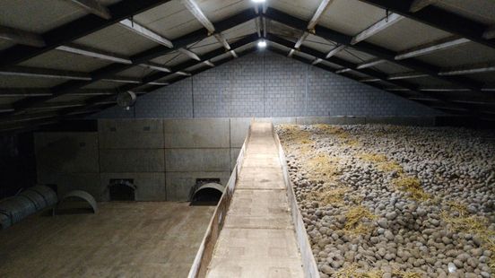 Aardappelverwerker failliet: teler blijft zitten met 700.000 kilo aardappelen Nieuws