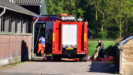 Brandweer schiet te hulp voor kalf in put Home
