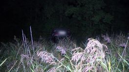 Auto belandt in sloot langs A58