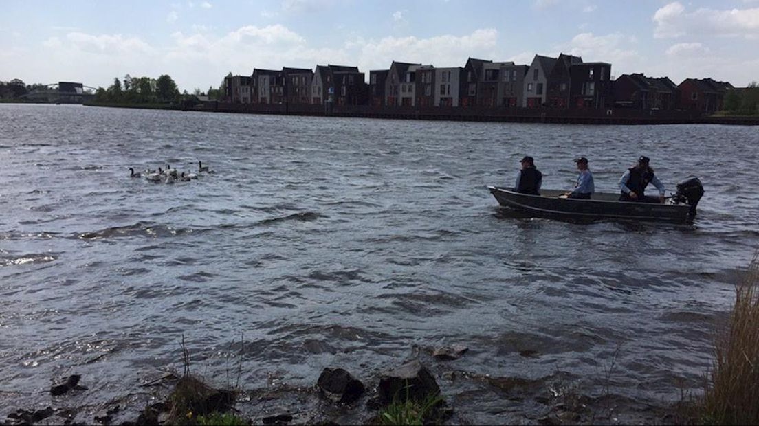 Ganzen rondom Blaloweg worden gevangen