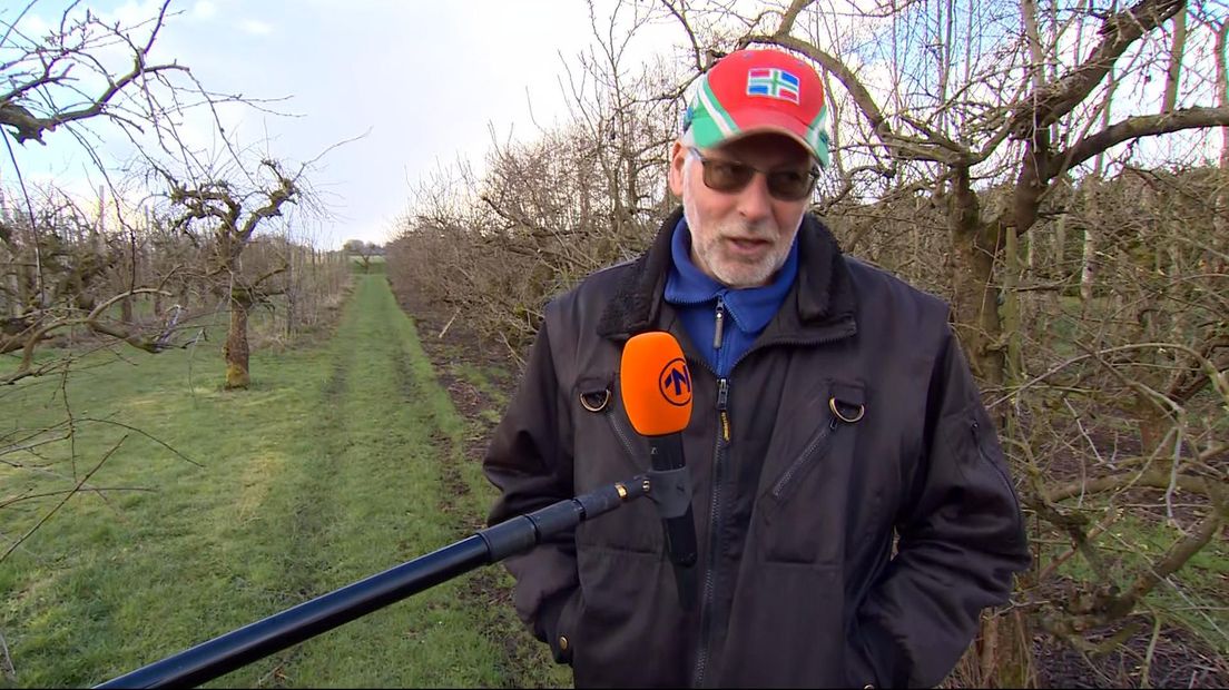 Gerrit Bosschaart in zijn fruitboomgaard