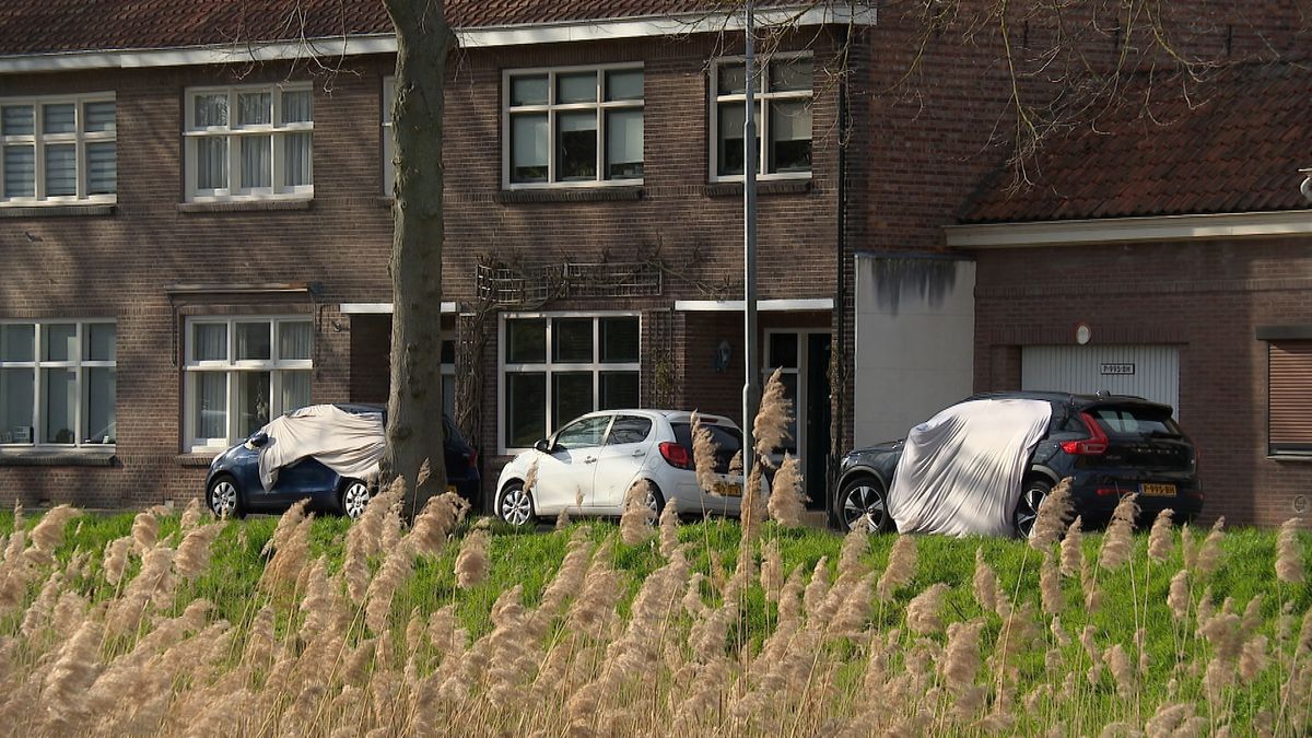 Kraaien zorgen voor schade aan auto's: straat in Middelburg is het zat