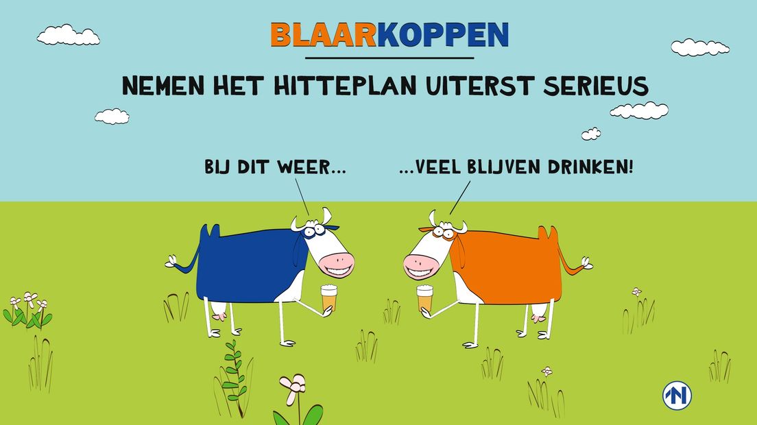 Blaarkoppen