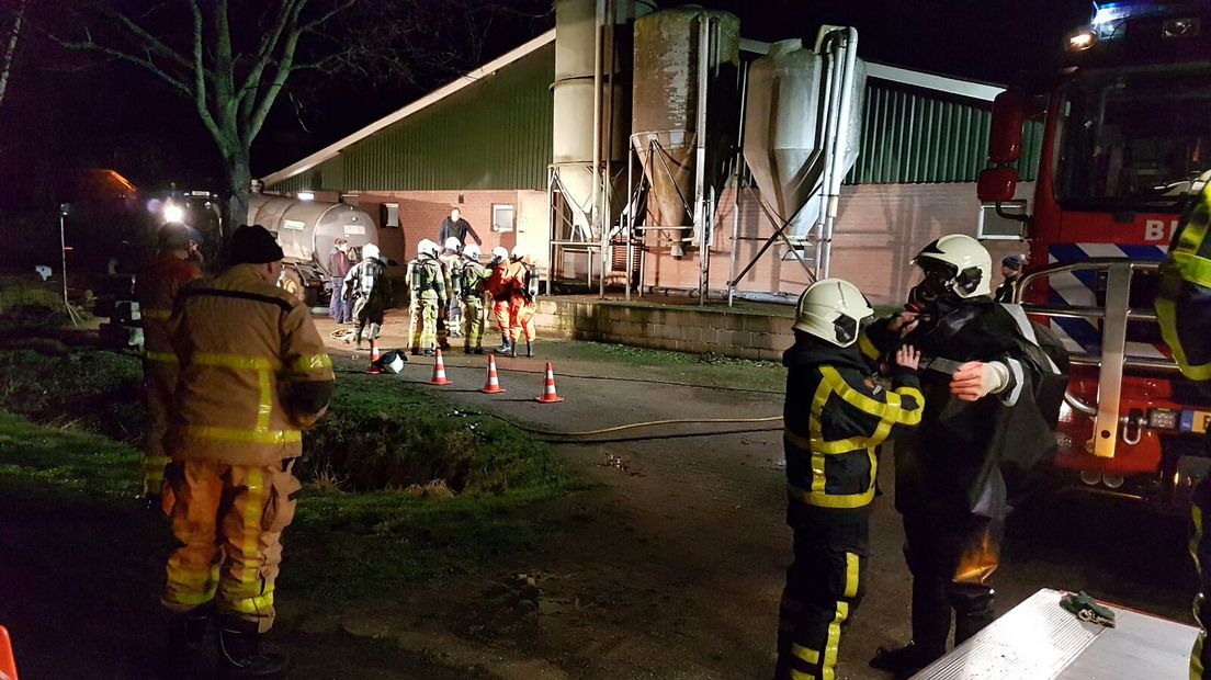 Op een bedrijf in Zelhem zijn bijna 50 varkens door de vloer gezakt en in de gierput terecht gekomen. De brandweer wist 43 varkens te redden. Vijf varkens overleefden het incident niet.