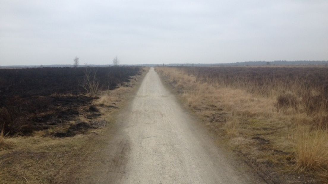 Fochteloërveen na de brand (Rechten:archief RTV Drenthe)