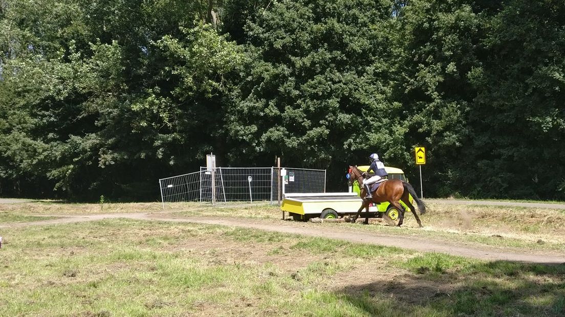 Paardensport in recreatiegebied Vlietland