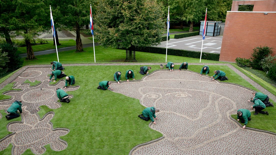 Foto Keukenhof - planten bollen Vincent v Gogh 1