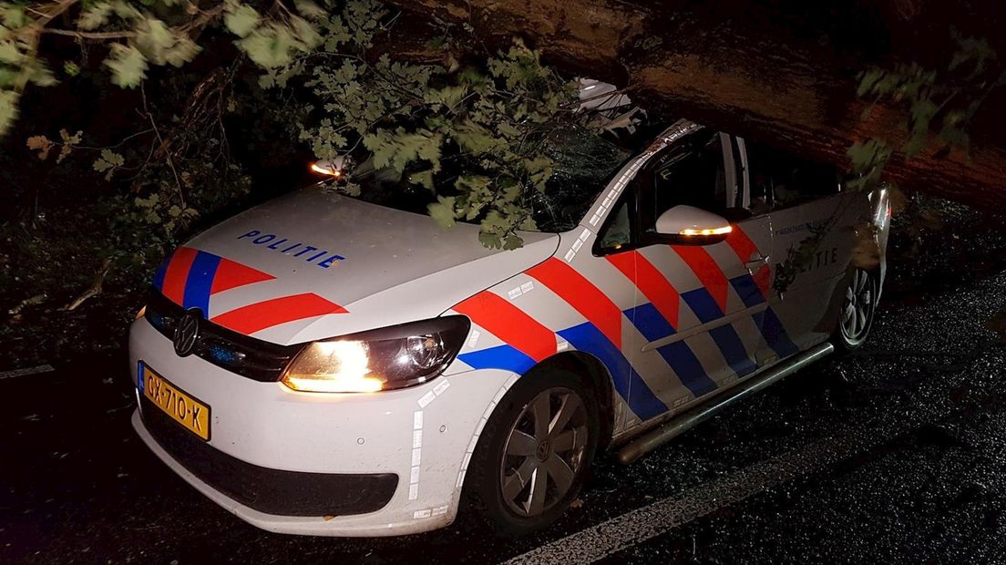 Politiewagen geplet onder omgevallen eik