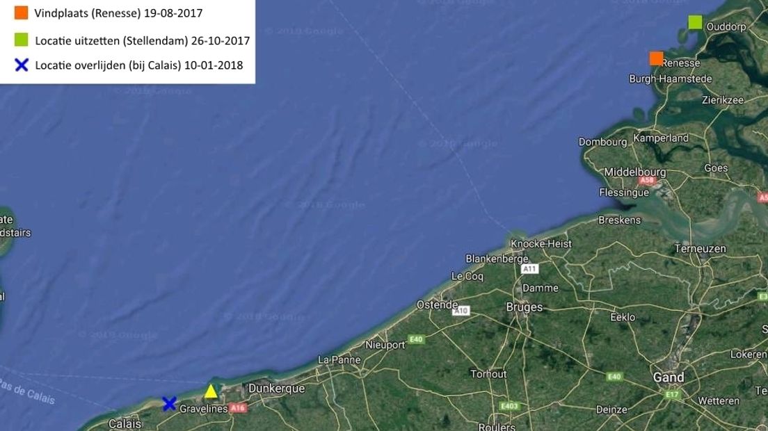 Kaart van de afgelegde route van de doodgeschoten zeehond Dax