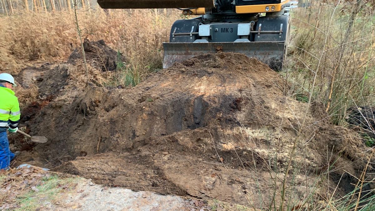 Bomen Oranjewoud hebben het zwaar; duiker en stuw aangelegd om water vast te houden