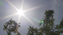 Zonneboot van leerlingen uit Coevorden geeft de geest tijdens spannende race