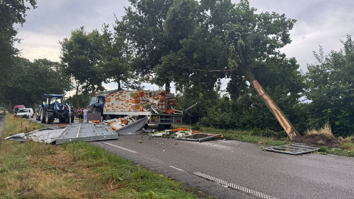 Tractor rijdt tegen boom in Castenray, weg bezaaid met brandstof en planten