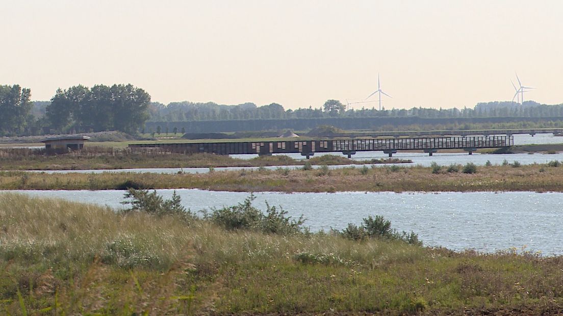 Natuurgebied Waterdunen bij Breskens