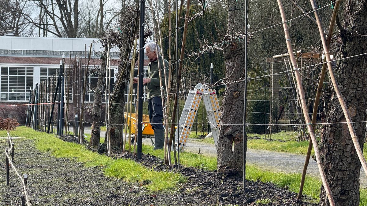 Een stukje erfgoed uit 1884 wordt bewaard door vrijwilligers: 'Leiperen zijn eigenlijk monumenten'