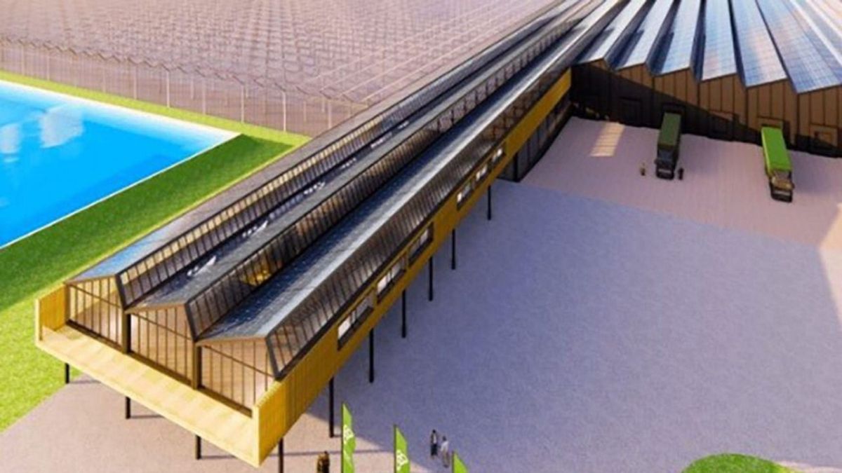 Streep door Waddenglas: geen enorm kassencomplex bij Sexbierum