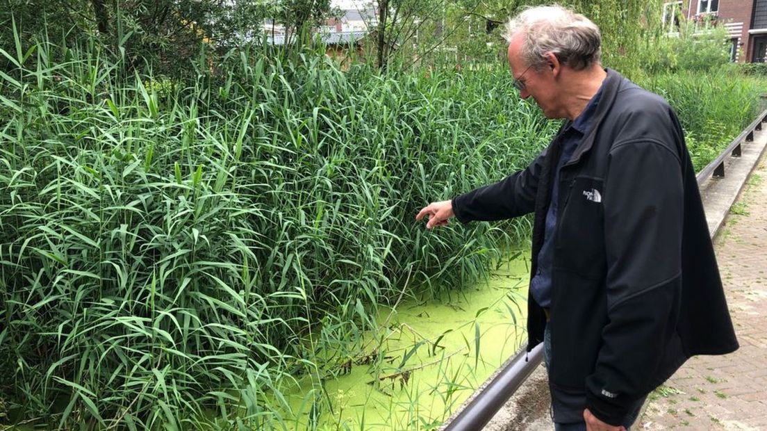 Piet Verdonschot bij een TEO-project in Wageningen.