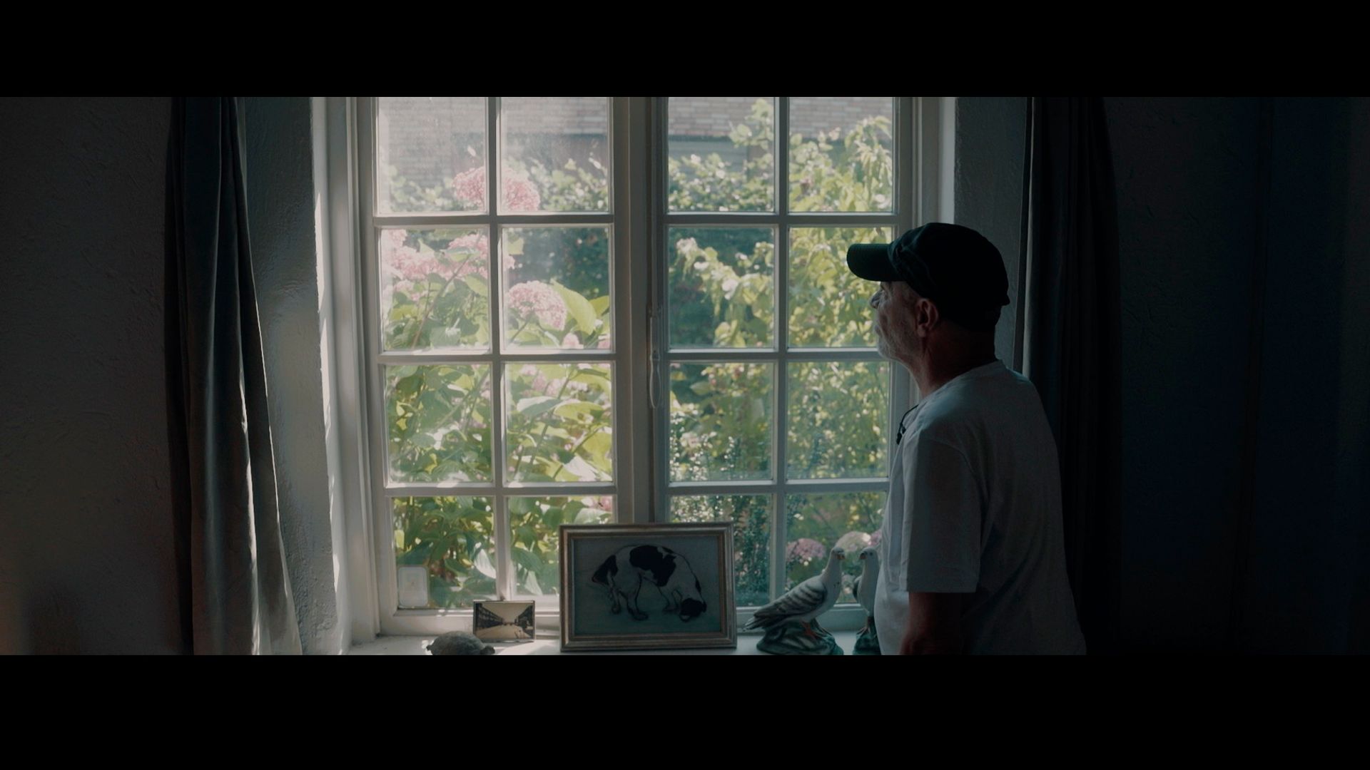 Langs het tuinpad van mijn vader: waar kom je weg en van wie ben je er