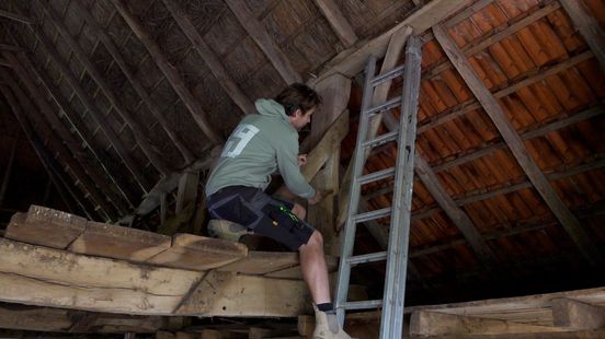 Van potstal tot woonkamer: zo blijft een historische boerderij herkenbaar Home