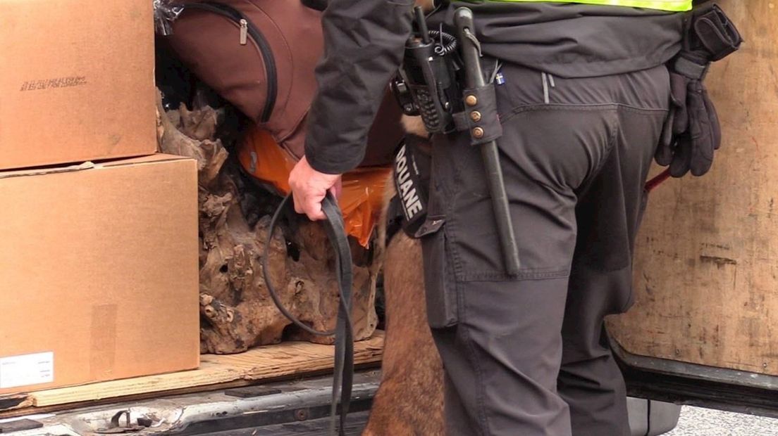 Inspectie van lading