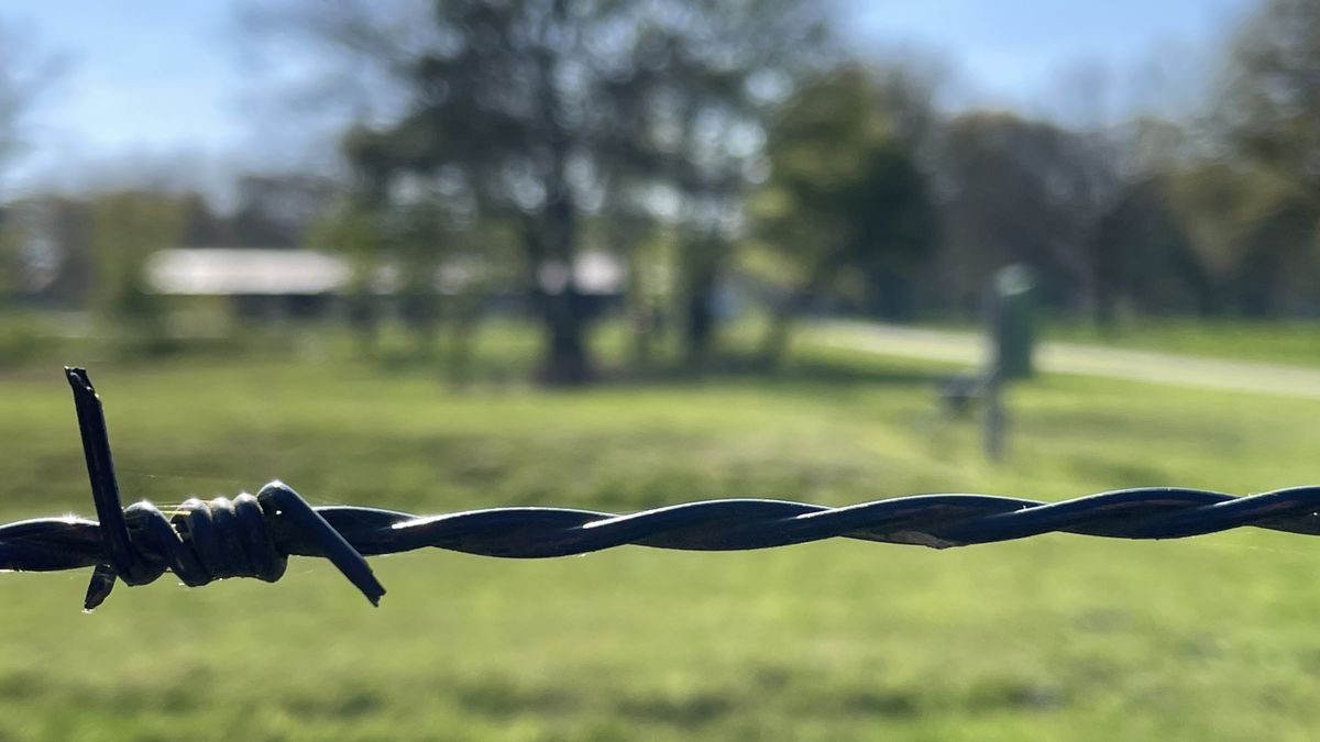 'Antisemitisme verdwijnt niet na een bezoek aan Kamp Westerbork'