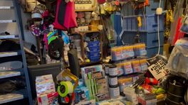 Hobby uit een garagebox groeit uit tot duikschool op droomlocatie