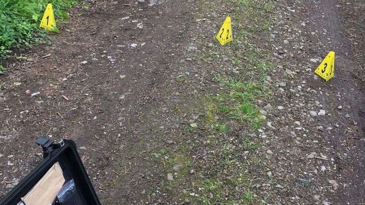 Lagere straf in hoger beroep voor taximoord
