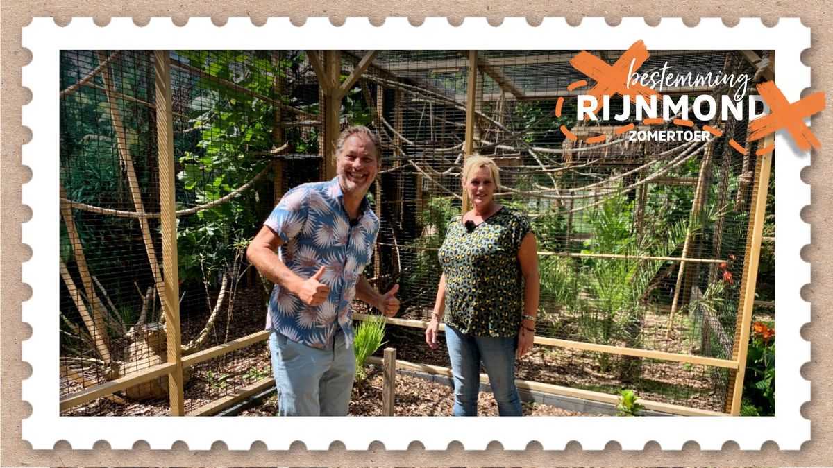 Moeraskat verhuist van Nieuwe-Tonge naar Frans kattenpark en Sander de Kramer wordt adoptievader