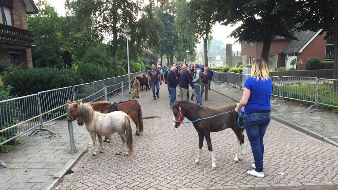 De pony- en paardenmarkt in Enter is in volle gang