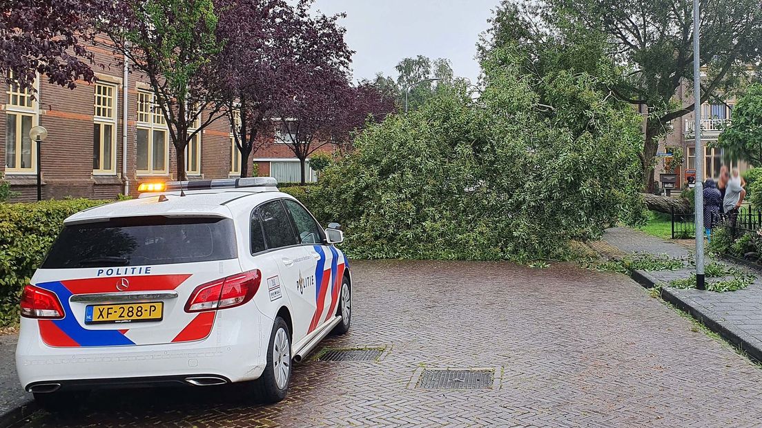 Aan de Prinses Beatrixstraat in Assen waaide een boom om