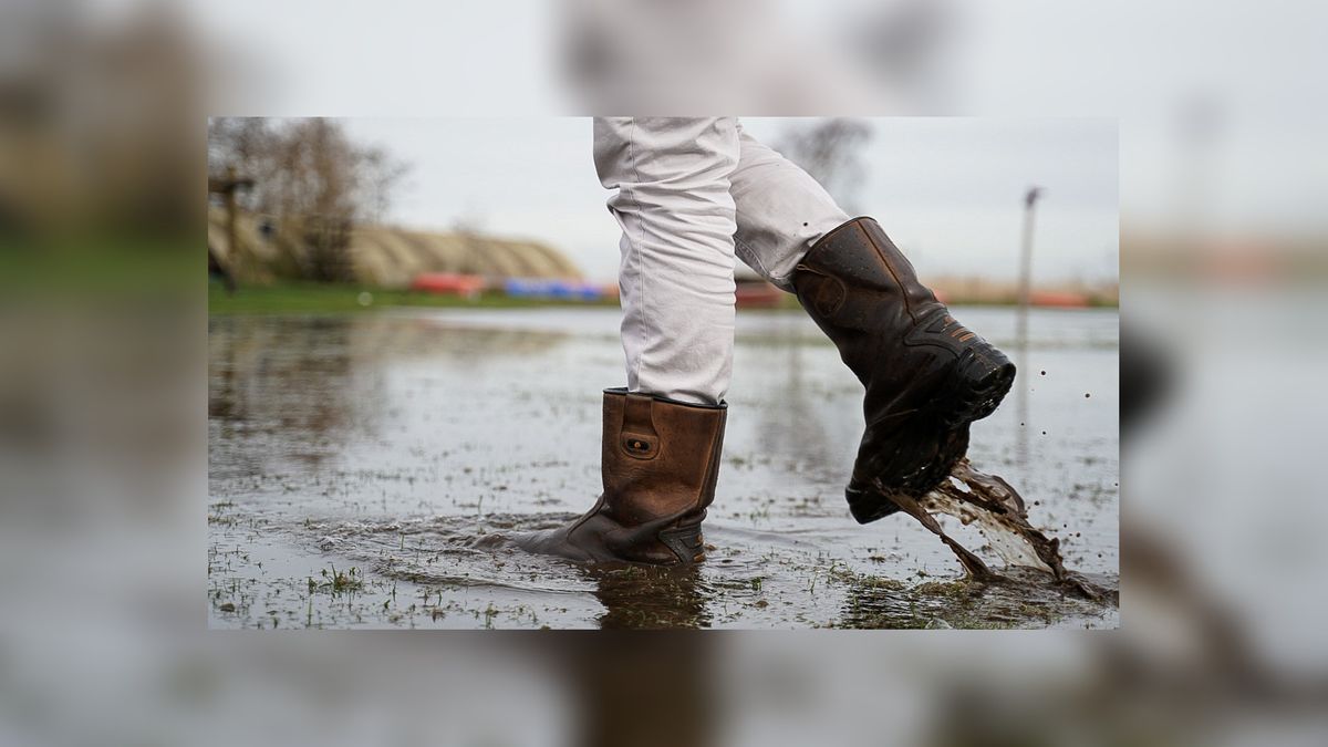 Kameleoneiland in Terherne staat onder water: 
